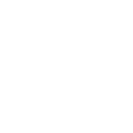 DIY Icon